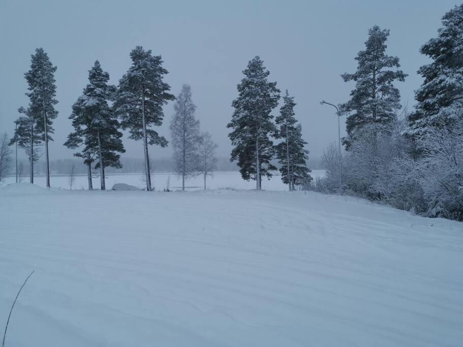 Cabin 70M From Lake. Big Garden Östersund Exterior foto
